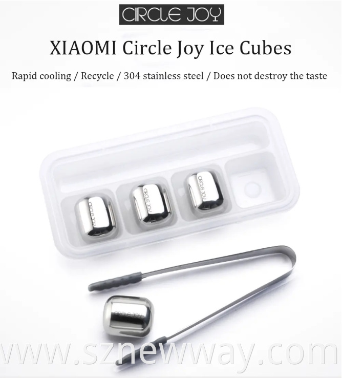 Circle Joy Ice Cube